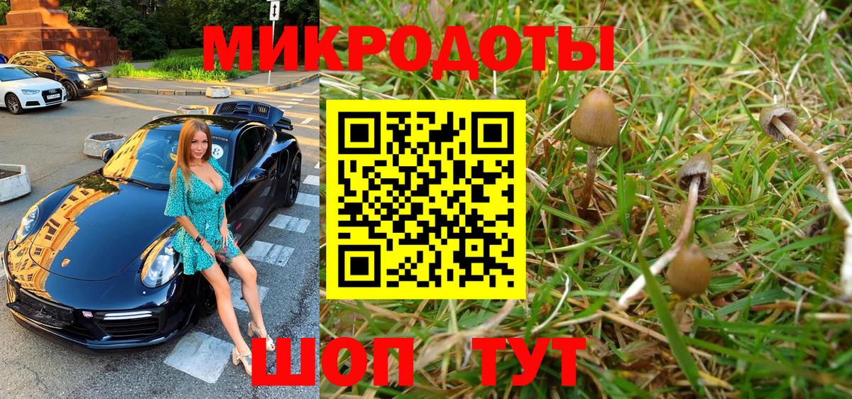 Псилоцибиновые грибы мицелий  Псилоцибиновые грибы ЛСД  Вход с VPN  Отрадный 