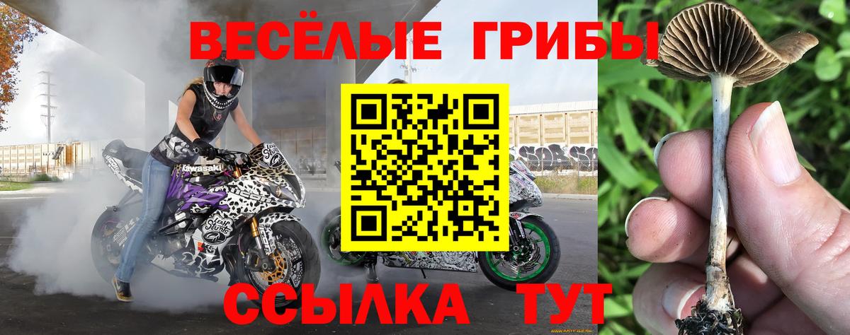 Галлюциногенные грибы мицелий Отрадный